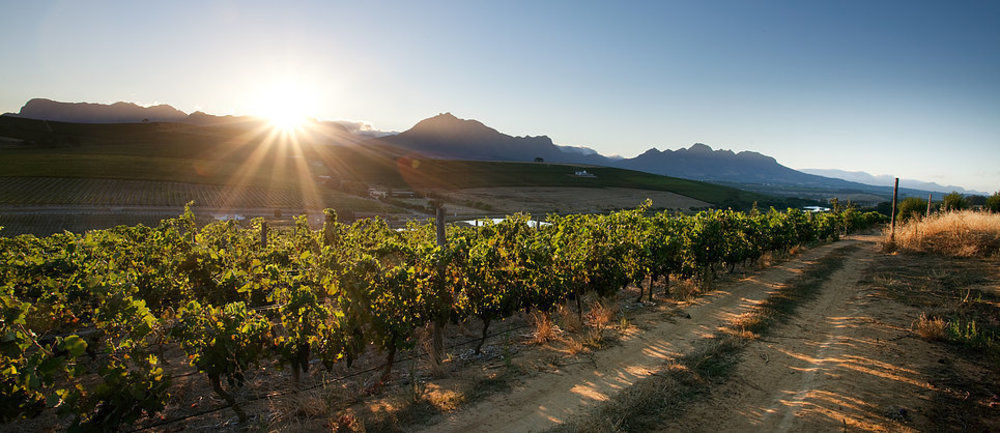 Hotel Brenaissance Wine & Stud Estate Stellenbosch Exterior foto