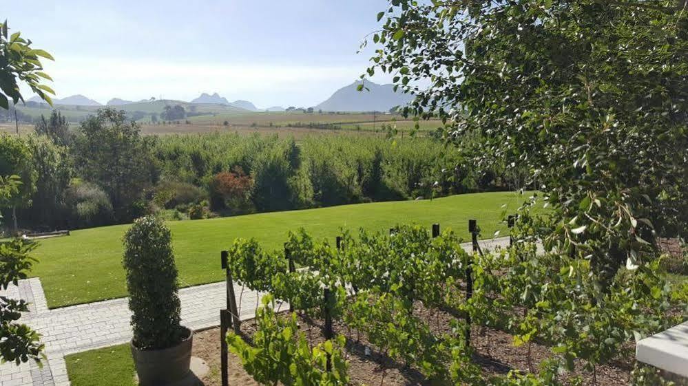 Hotel Brenaissance Wine & Stud Estate Stellenbosch Exterior foto